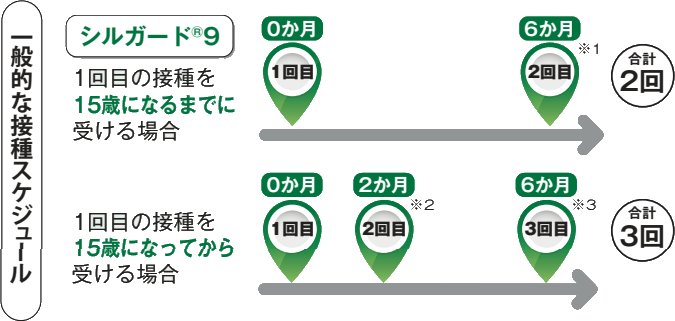 シルガード9の接種スケジュール